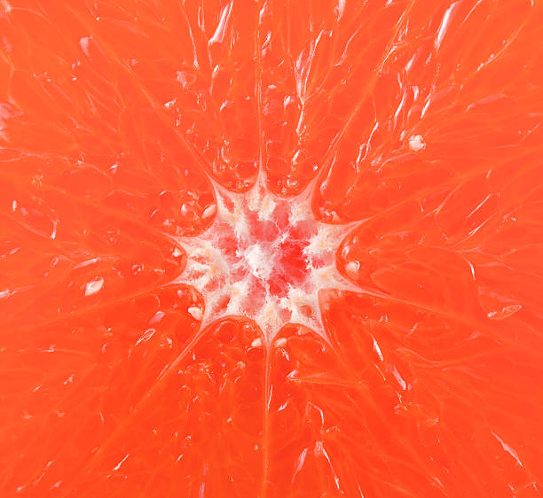 Grapefruit stock photo