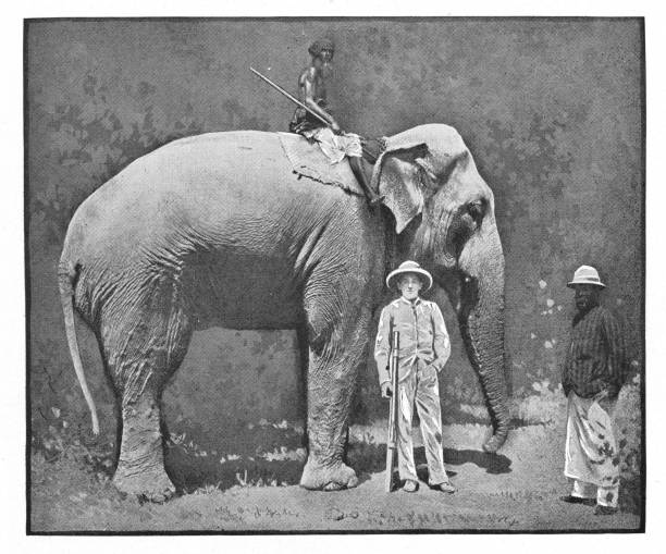 istock Elephant and Rider in Calcutta, India - British Era 912271020