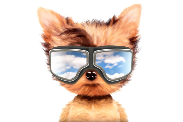Funny adorable dog wearing aviator mask isolated on white background. Holiday and vacation concept. Realistic 3D illustration
