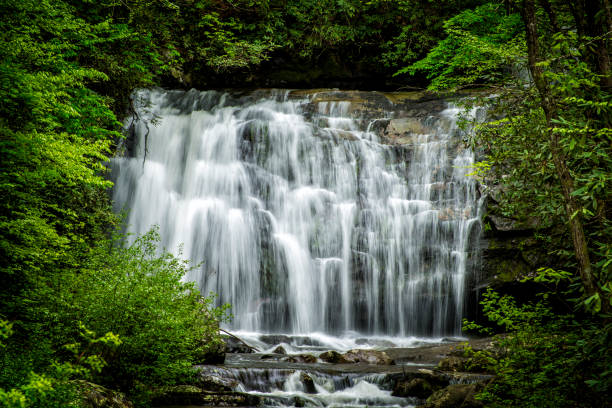 водопад национальный парк смоки-маунтинс - tennessee waterfall stream forest стоковые фото и изображения