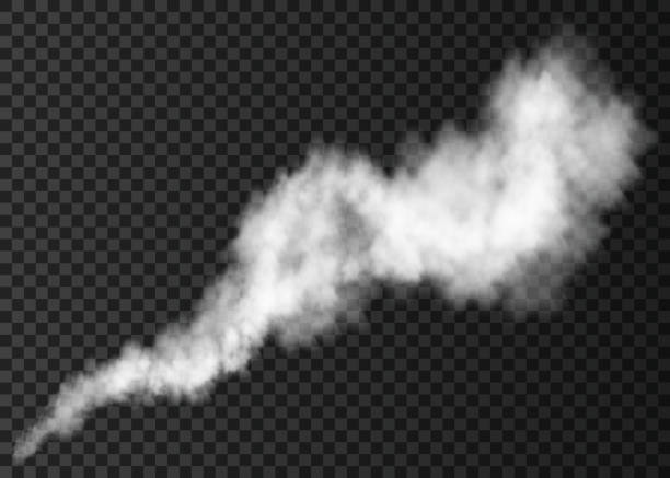 Realistic  white  smoke puff. Realistic  white  smoke puff  isolated on transparent background.  Steam explosion special effect.  Vector   fire fog or mist texture . smoke physical structure stock illustrations
