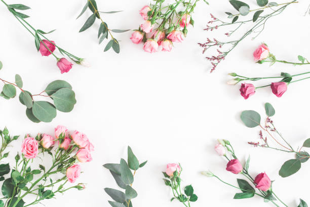 istock Pink flowers and eucalyptus branches. Flat lay, top view 912277788