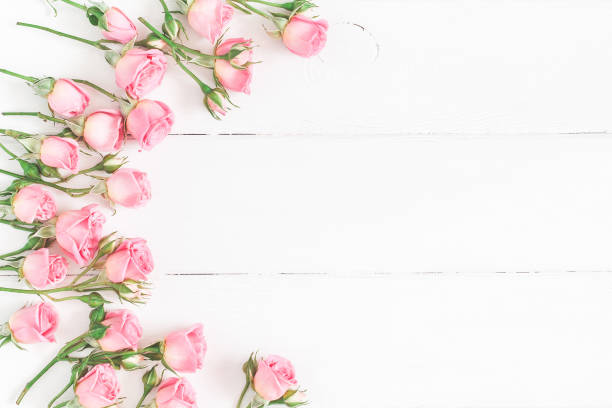 istock Rose flowers on white wooden background. Flat lay, top view 912278182