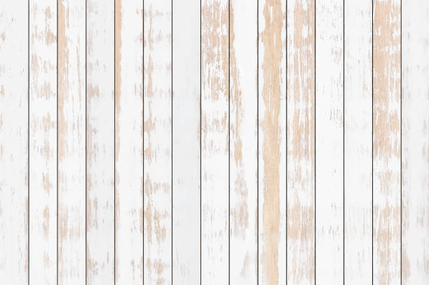 ilustrações de stock, clip art, desenhos animados e ícones de white wood plank texture background, vector - madeira