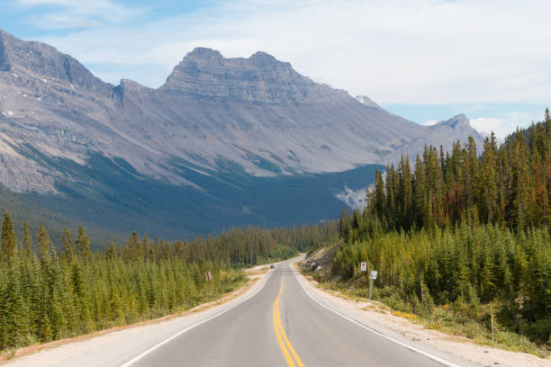 istock Scenic Icefields Parkway highway in Rocky Mountains, Alberta, Canada on sunny day 912279732