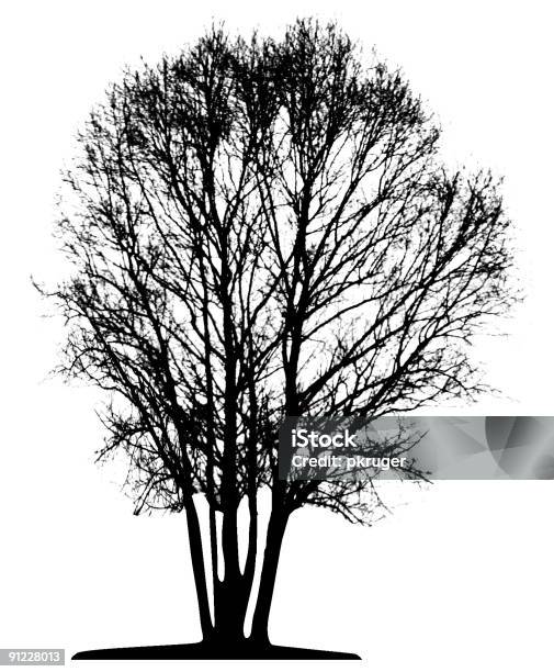 Vector Tree Isolated Stock Illustration - Download Image Now - Birch Tree, Black Color, Branch - Plant Part