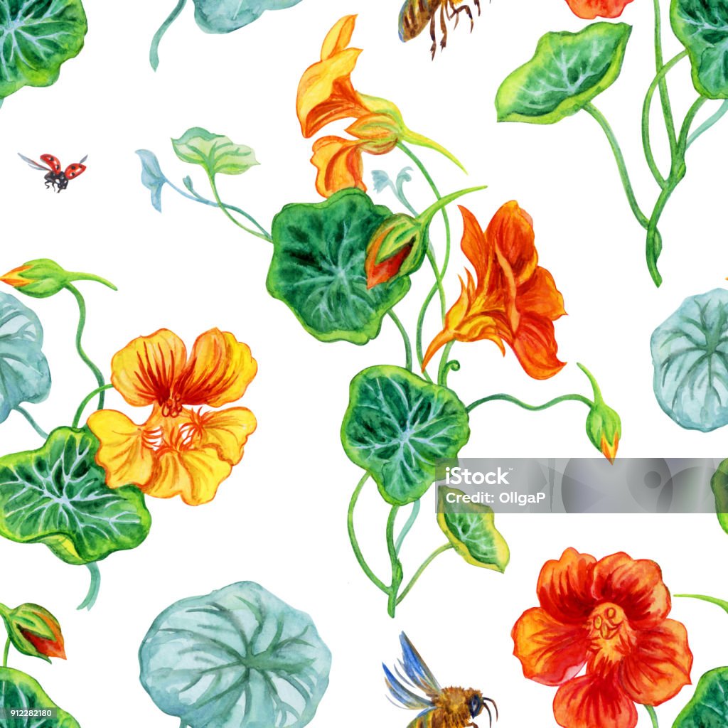 Nasturtium and bee, watercolor pattern. Seamless watercolor floral pattern. Nasturtium and bee, watercolor pattern on a white background. Abstract stock illustration