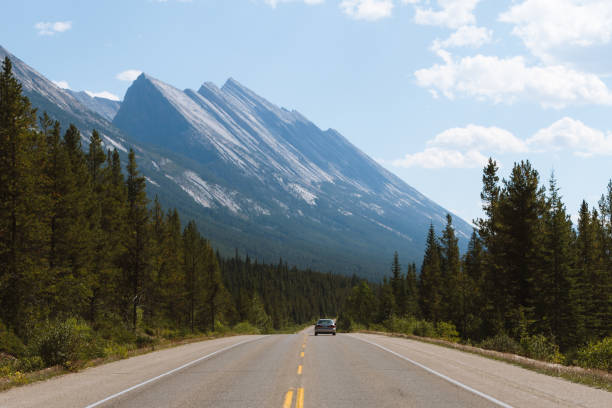istock Scenic Icefields Parkway highway in Rocky Mountains, Alberta, Canada on sunny day 912287022