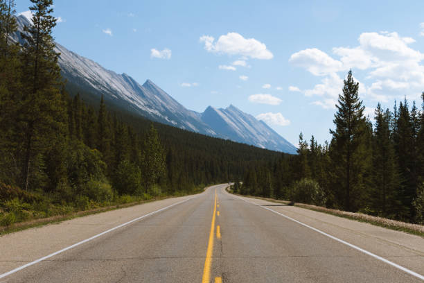 istock Scenic Icefields Parkway highway in Rocky Mountains, Alberta, Canada on sunny day 912287244