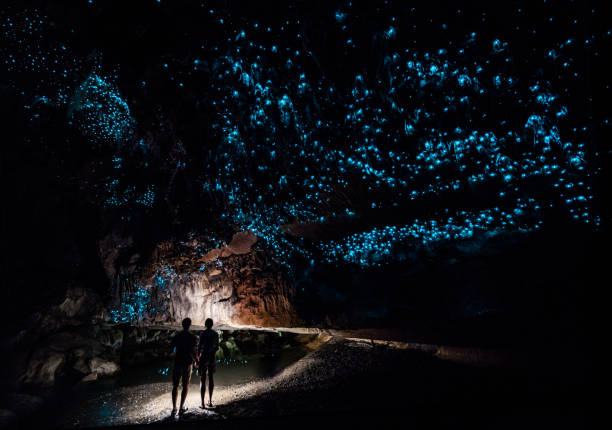 Couple standing underneath Glow Worm Sky in Waipu Cave, new Zealand Glowworm Cathedral at the end of Waipu Cave in New Zealand cave stock pictures, royalty-free photos & images