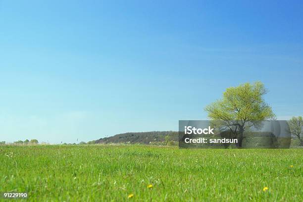 Foto de Wonderland e mais fotos de stock de Acima - Acima, Agricultura, Ajardinado