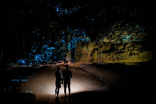 Couple standing underneath Glow Worm Sky in Waipu Cave, new Zealand Glowworm Cathedral at the end of Waipu Cave in New Zealand waitomo caves stock pictures, royalty-free photos & images