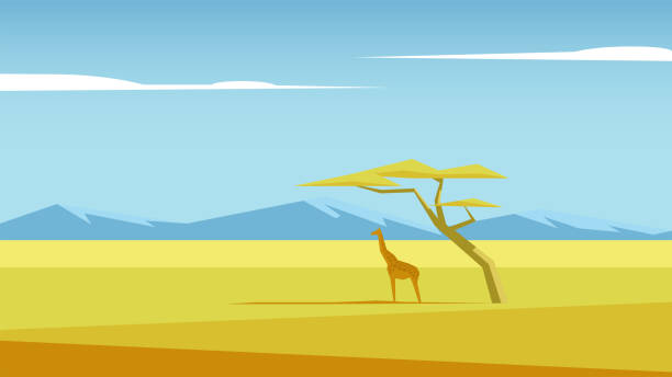 illustrations, cliparts, dessins animés et icônes de paysage de savane vector - savane africaine