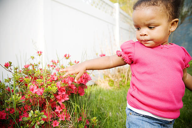 A cute little girl touching flowers