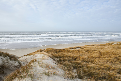 Danish west coast 