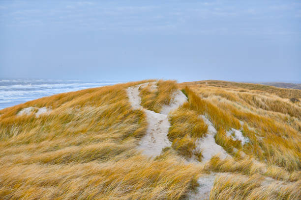 Location North Sea west to \