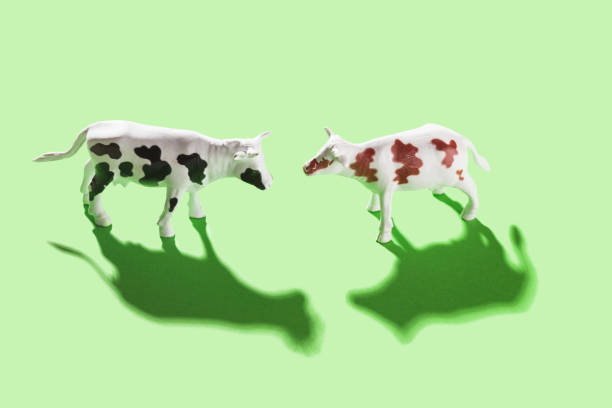 istock Cow toys 912300244