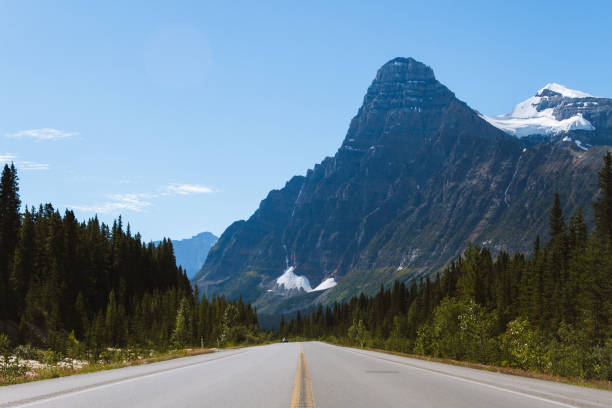istock Scenic Icefields Parkway highway in Rocky Mountains, Alberta, Canada on sunny day 912300428