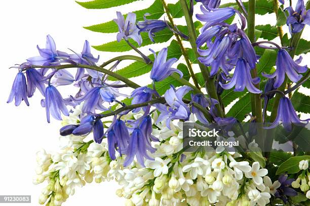 Bouquet De Primavera - Fotografias de stock e mais imagens de Lilás Branco - Lilás Branco, Arranjo de flores, Bouquet