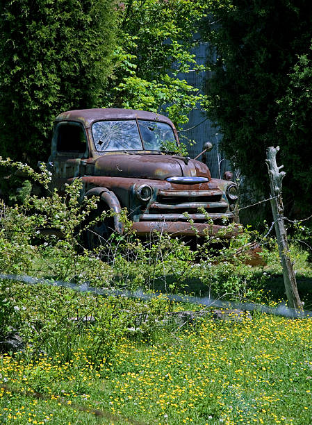 istock Rusty Old Truck in Spring Flowers 91230233
