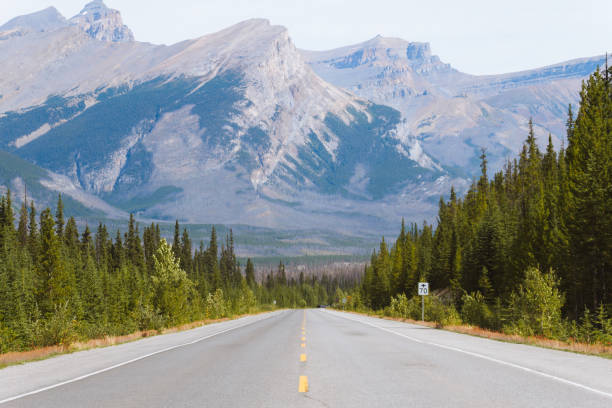 istock Scenic Icefields Parkway highway in Rocky Mountains, Alberta, Canada on sunny day 912302580