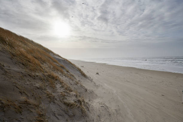 istock Danish west coast 