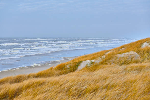 istock blue. sky, yellowDanish west coast 
