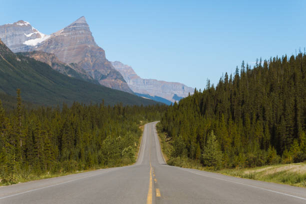 istock Scenic Icefields Parkway highway in Rocky Mountains, Alberta, Canada on sunny day 912307486
