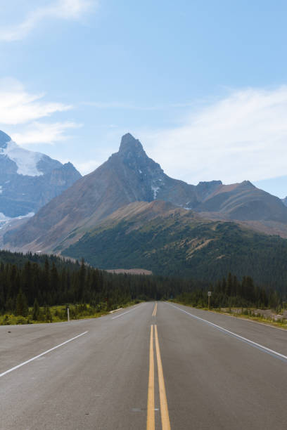 istock Scenic Icefields Parkway highway in Rocky Mountains, Alberta, Canada on sunny day 912307568