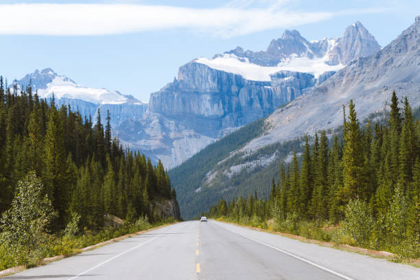 istock Scenic Icefields Parkway highway in Rocky Mountains, Alberta, Canada on sunny day 912307674