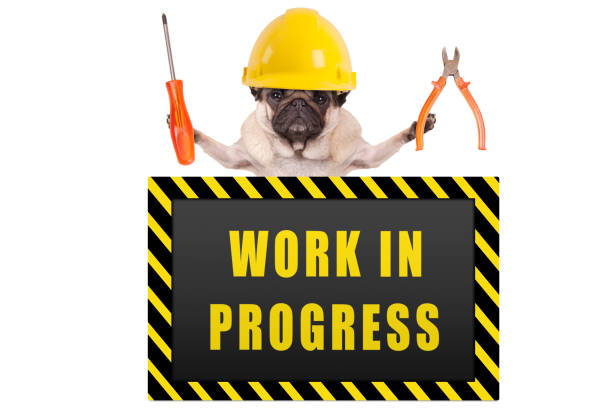 istock pug dog wearing yellow constructor safety helmet,holding pliers and screwdriver, with warning sign saying work in progress, isolated 912309980