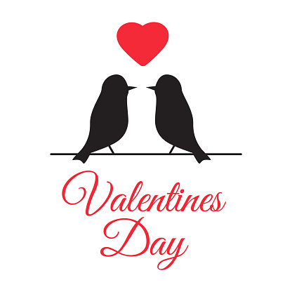 Kissing couple of doves. Kiss pigeon for valentine day or wedding. Valentine day vector illustration