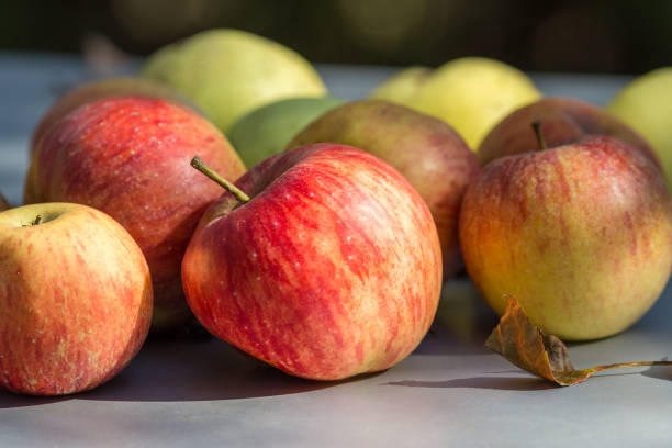 istock Apples on a table in a garden. 912312540