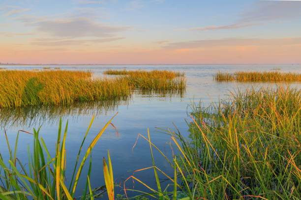 Sunrise from the kayak on the Sulina canal that flows into the Black Sea stock photo