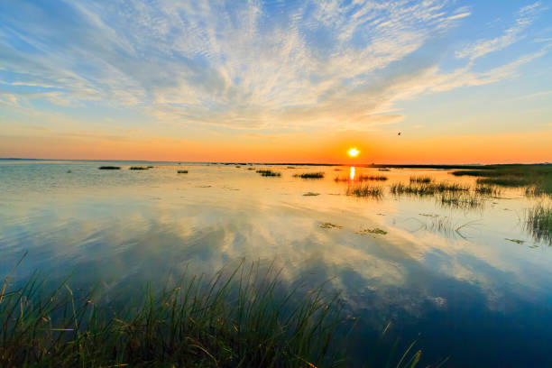 Sunrise from the kayak on the Sulina canal that flows into the Black Sea stock photo