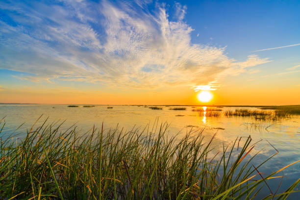 Sunrise from the kayak on the Sulina canal that flows into the Black Sea stock photo