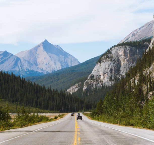 istock Scenic Icefields Parkway highway in Rocky Mountains, Alberta, Canada on sunny day 912322556