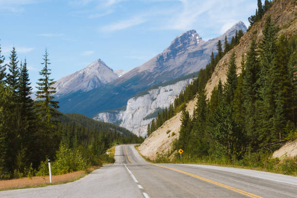 istock Scenic Icefields Parkway highway in Rocky Mountains, Alberta, Canada on sunny day 912322966
