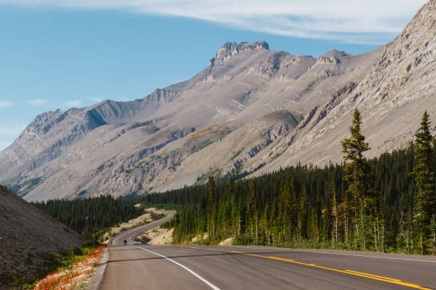 istock Scenic Icefields Parkway highway in Rocky Mountains, Alberta, Canada on sunny day 912323244