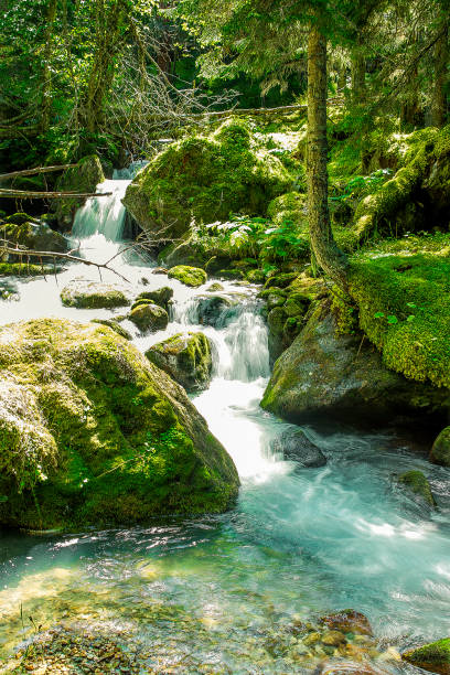 istock mountain river flows crystal clear water flowing between the rocks and green trees 912323358