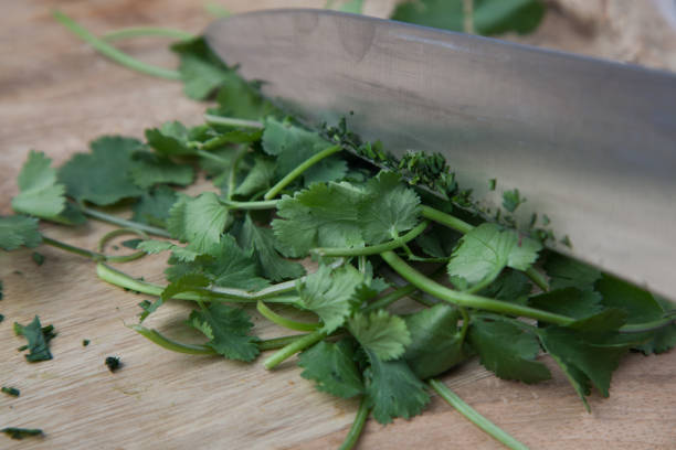 istock Kitchen knife chopping fresh coriander on wooden board 912325766