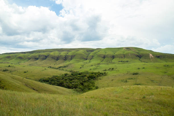 istock National park serra canastra brazil 912326648