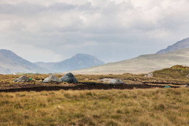 Stacks of peat at a bog being harvested in rural Ireland.