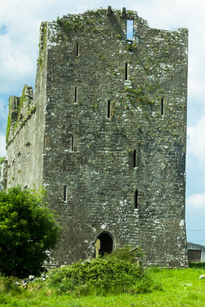 istock Norman Tower House Ruins in Rural Ireland 912327446