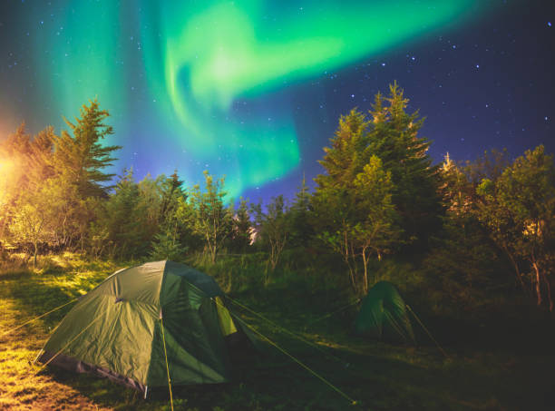 pi�ękny obraz masywnej wielobarwnej zielonej zielonej aurora borealis, aurora polaris, znany również jako zorza polarna na nocnym niebie nad letnimi lofotami, norwegia - svalbard islands zdjęcia i obrazy z banku zdjęć