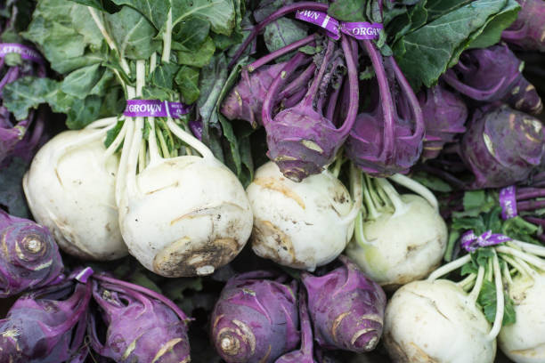 крупным планом органических kohlrabi на фермерском рынке - kohlrabi turnip cultivated vegetable стоковые фото и изображения