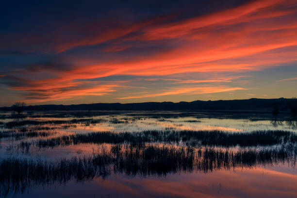 Sunset at Bosque del Apache National Wildlife Refuge, New Mexico