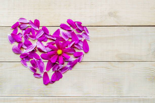 istock flower heart shape lay on wooden background 912342262