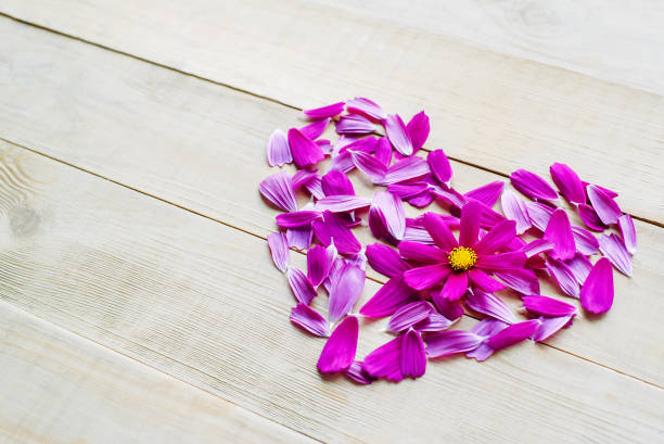istock flower heart shape lay on wooden background 912342278