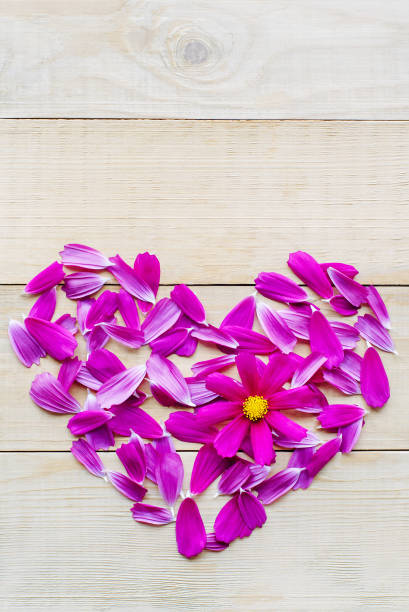 istock flower heart shape lay on wooden background 912344896